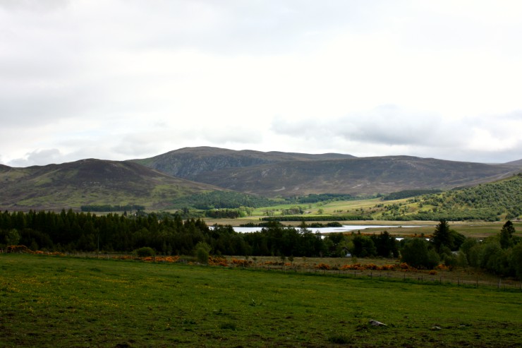 South Muirnich Farm