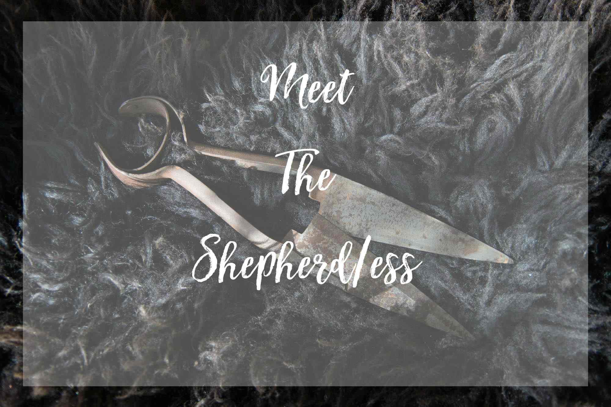 meet the shepherdess