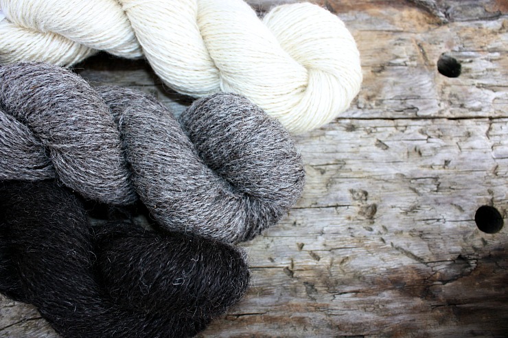 Black Isle Yarns, from top- bfl~cotswold, Frankenstein (bfl~cotswold~cheviot), Monkeyface (hebridean~gotland_)