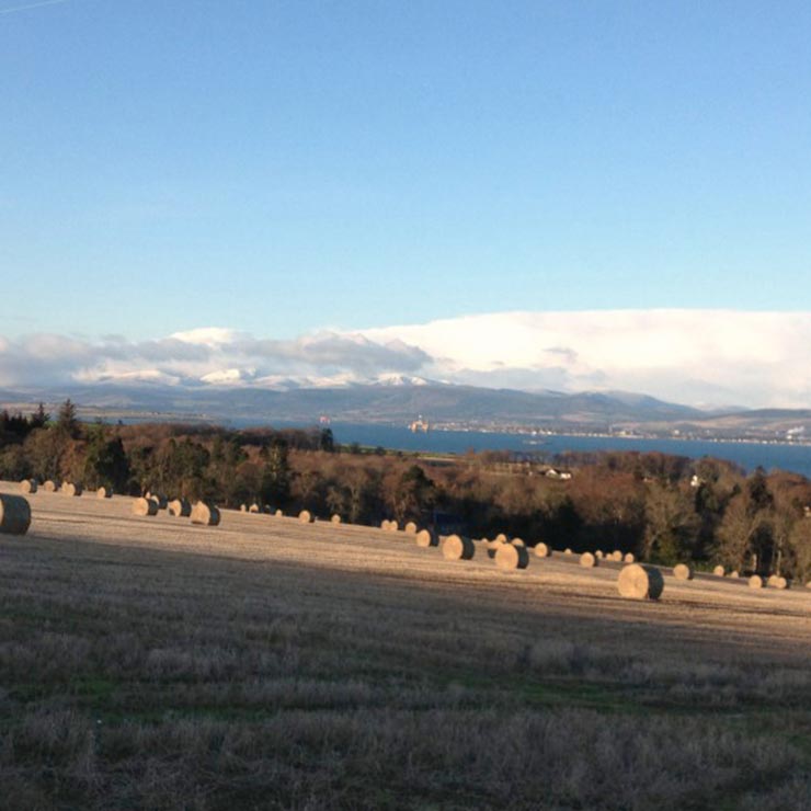 Snow capped hills from above Cromarty