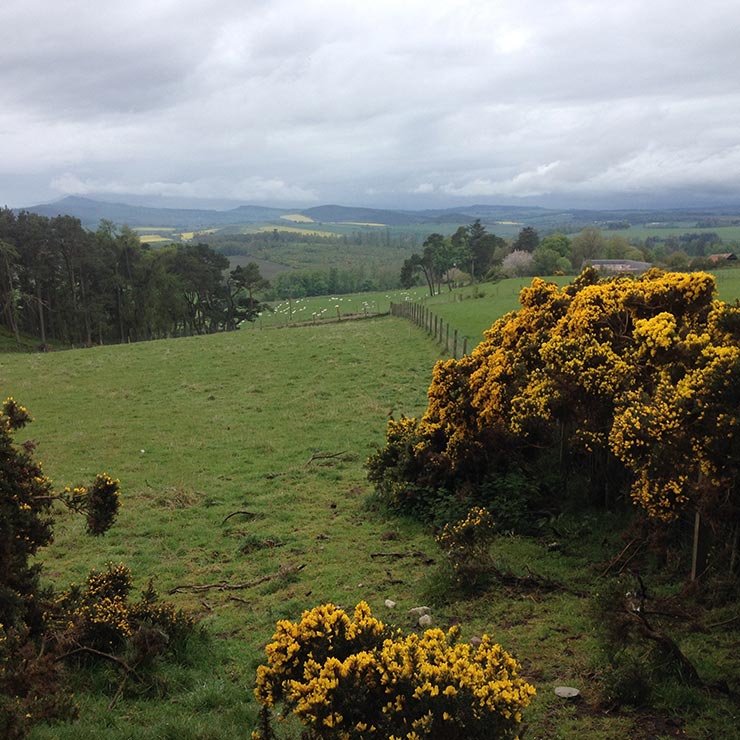 Black Isle rolling uplands