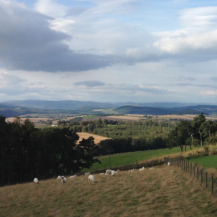 Looking west across the Black Isle with the mainland in the distance